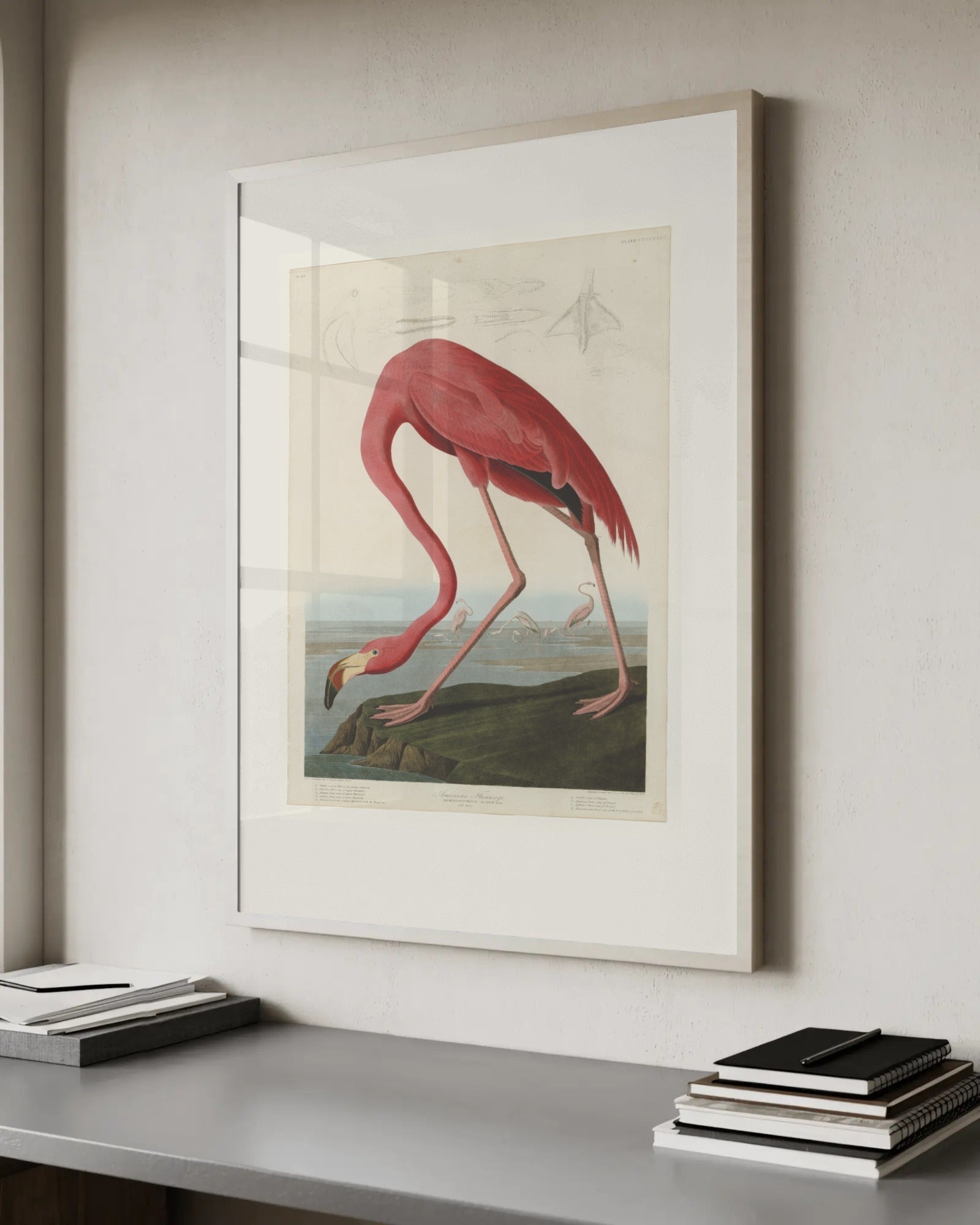 American Flamingo (Plate 431) Art Print by John James Audubon - hero image for the Botanical & Natural History collection