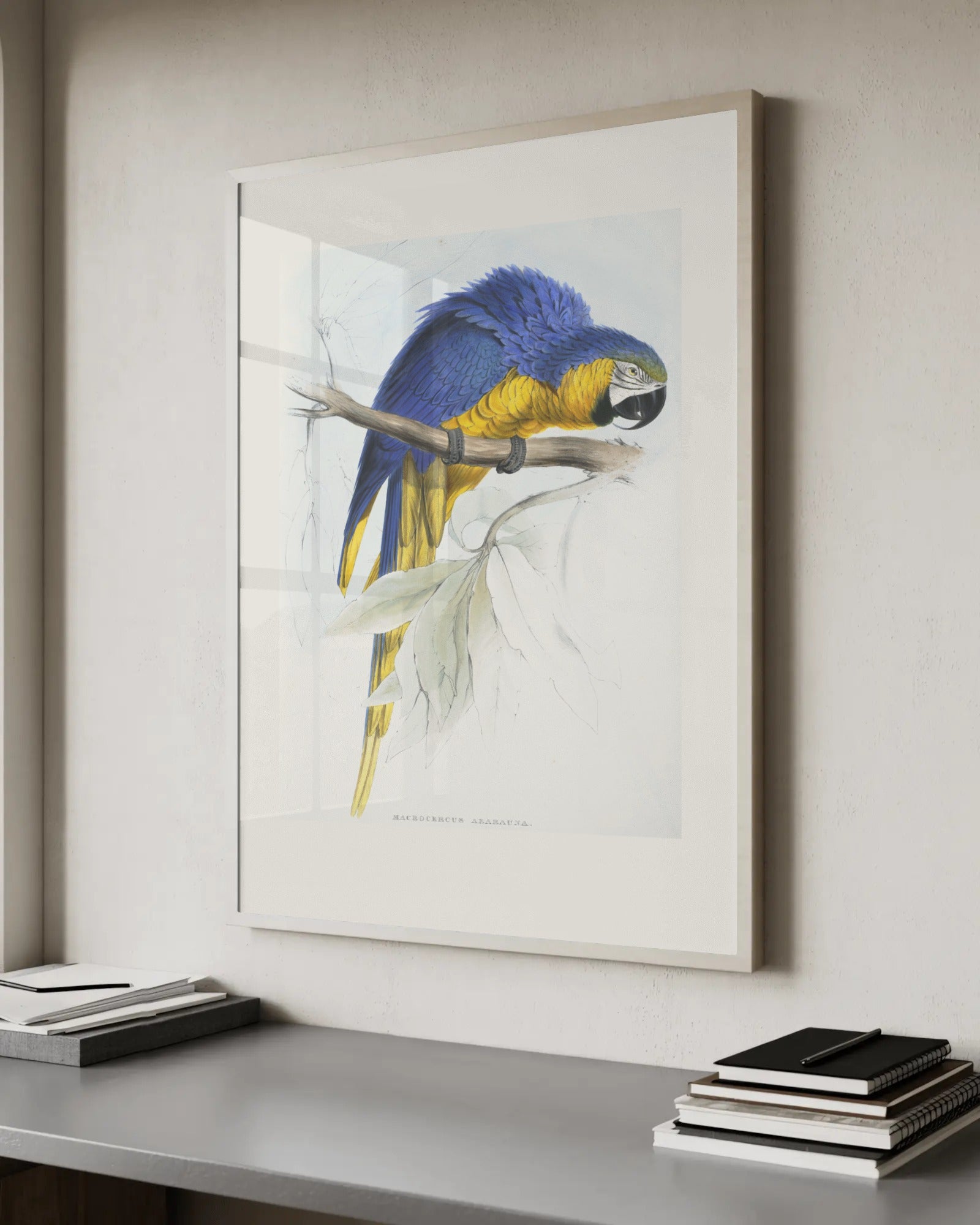Red and Blue Macaw Art Print by Edward Lear