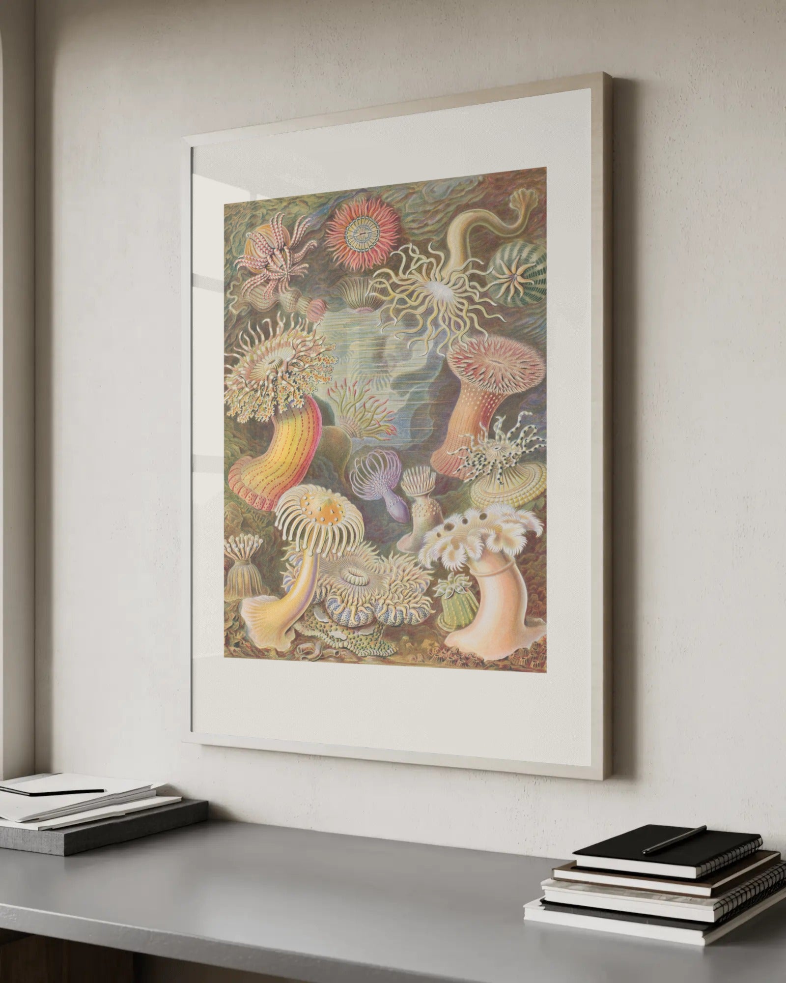 Actiniae - Sea Anemones Art Print by Ernst Haeckel