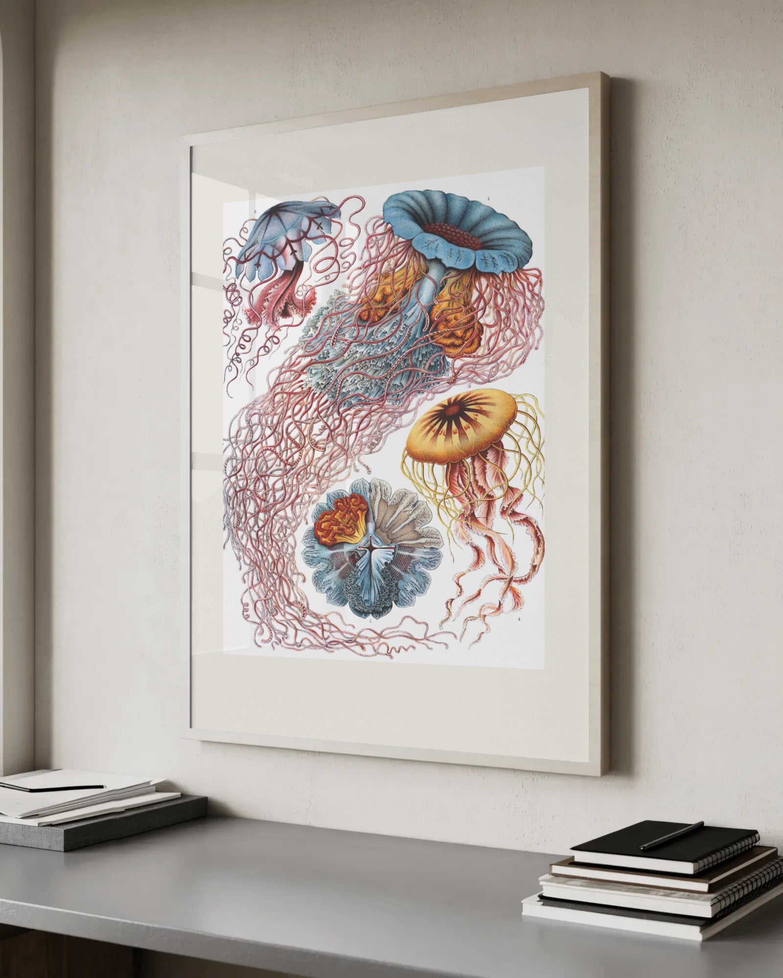 Discomedusae (Plate 8) - Jellyfish Art Print by Ernst Haeckel