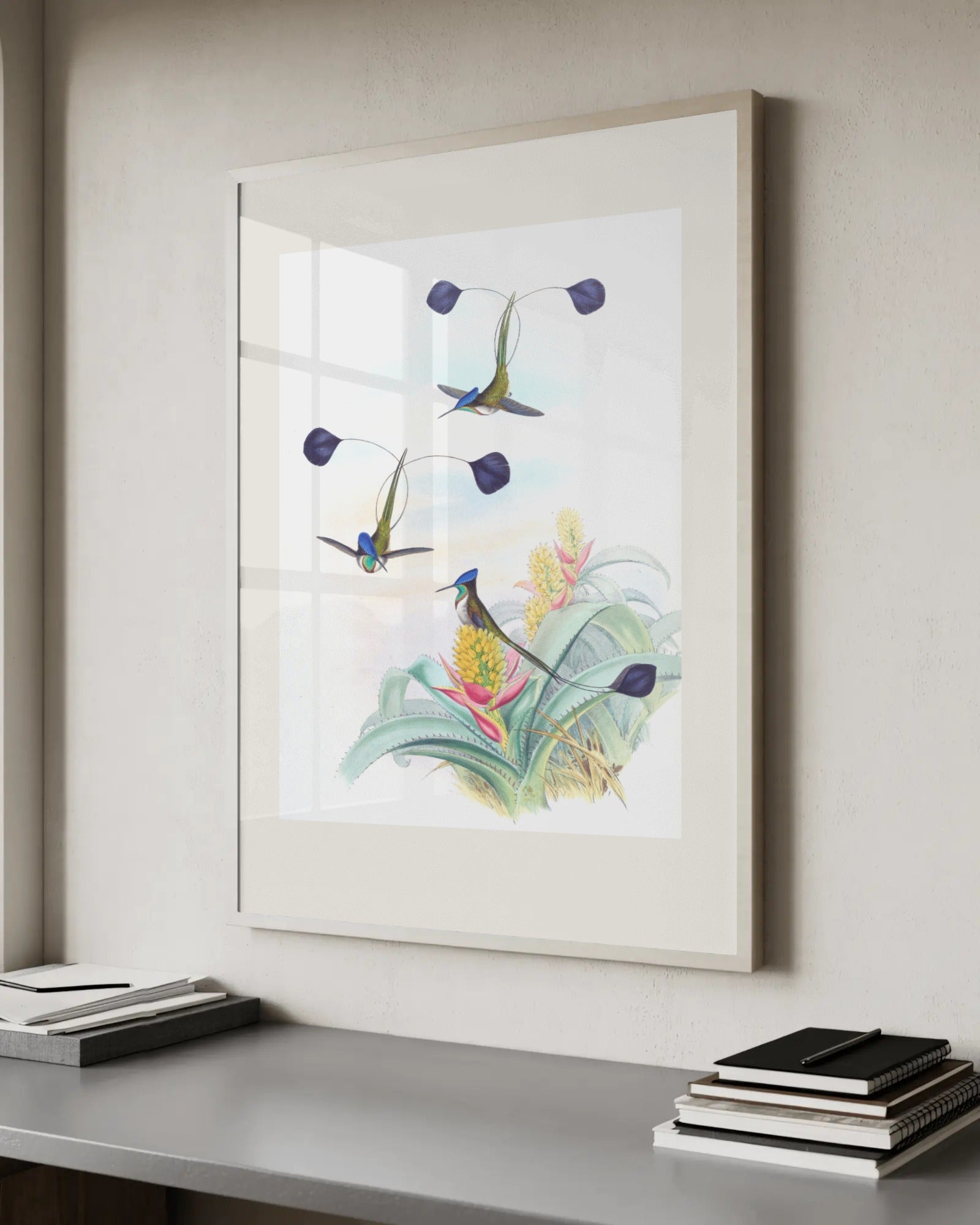Hummingbird Plate (Trochilidae) Art Print by John Gould