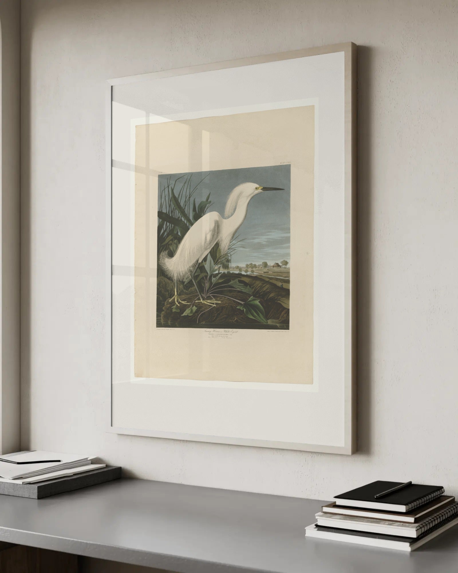 Snowy Egret (Plate 242) Art Print by John James Audubon