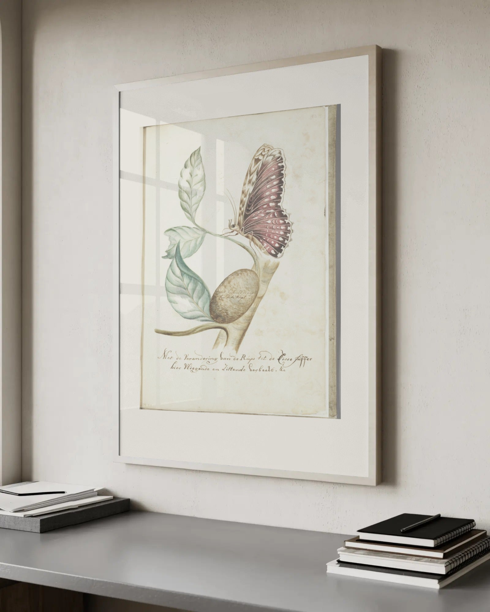 Branch of Banana Tree with Caterpillar and Butterfly Art Print by Maria Sibylla Merian