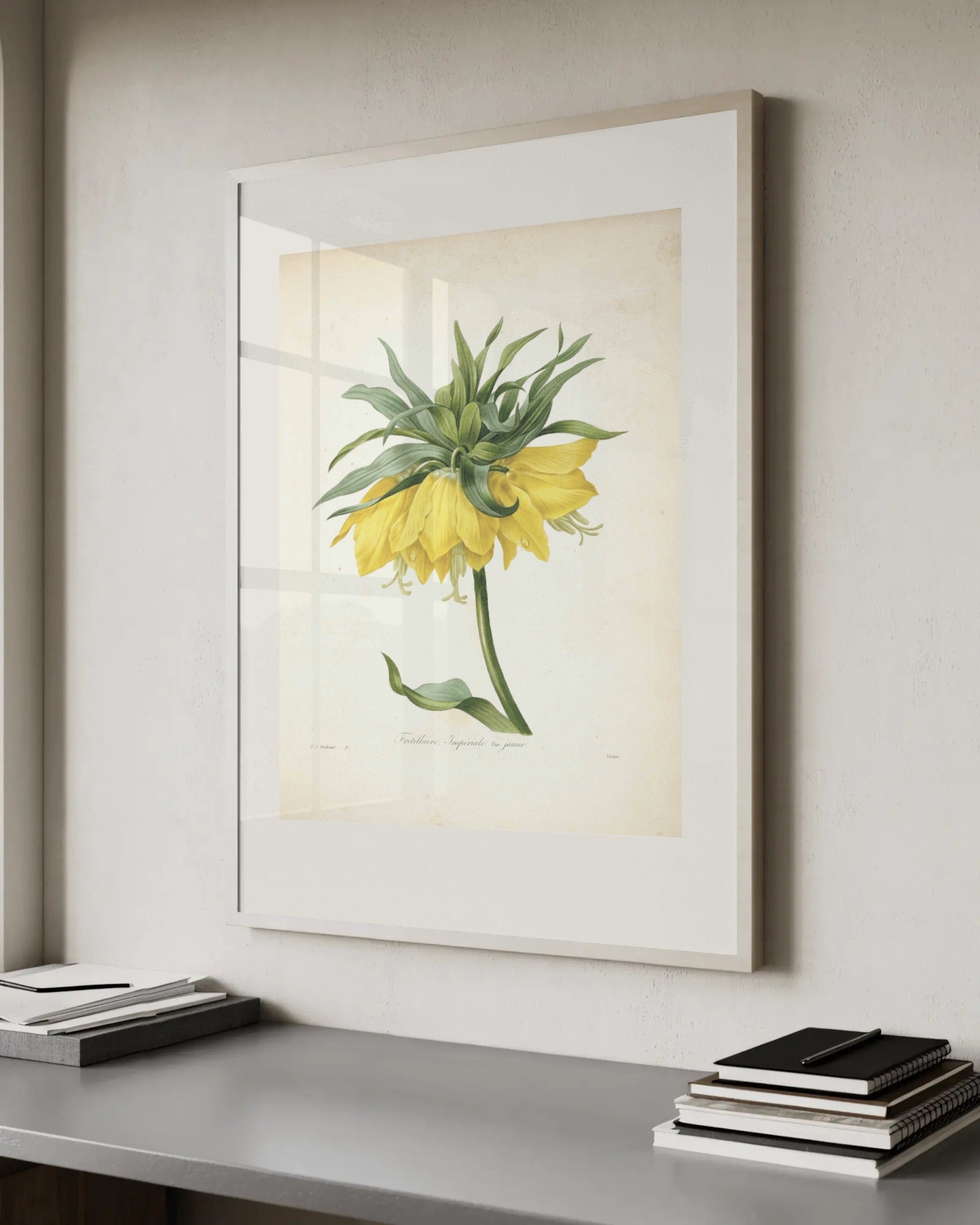 Fritillaria Imperialis (Crown Imperial) Art Print by Pierre-Joseph Redouté