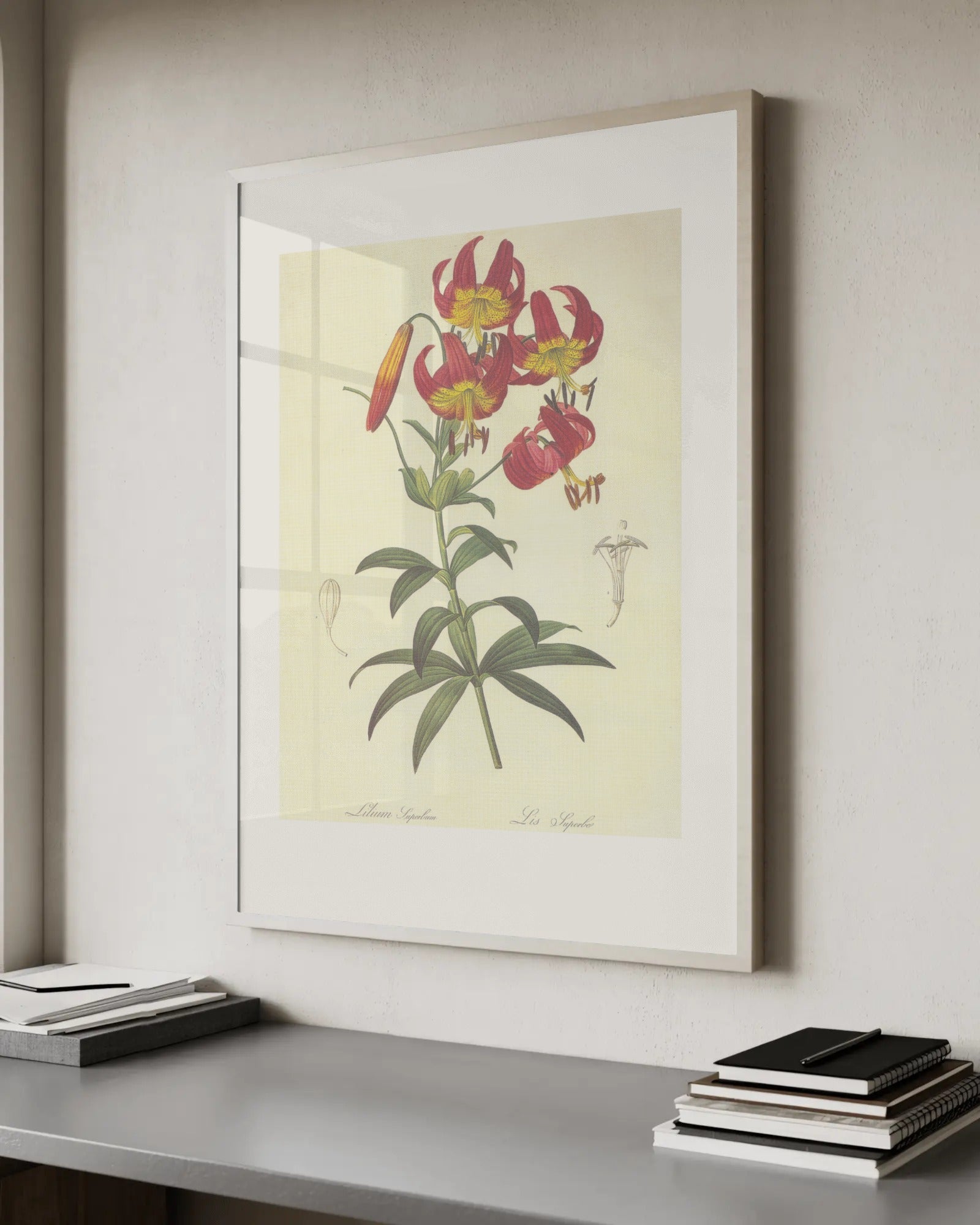 Lilium Superbum (Turk's Cap Lily) Art Print by Pierre-Joseph Redouté