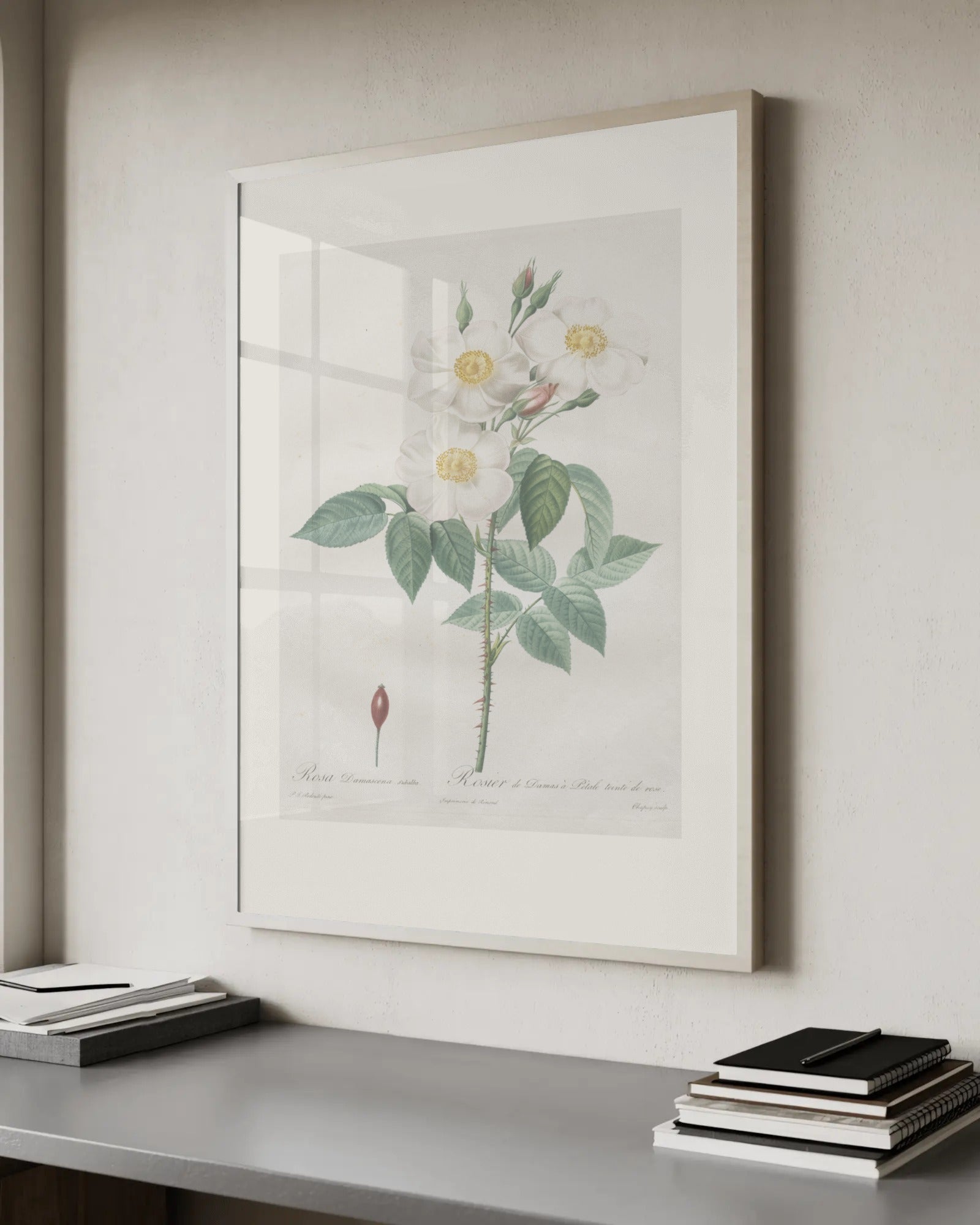 Rosa Damascena (Damask Rose) Art Print by Pierre-Joseph Redouté