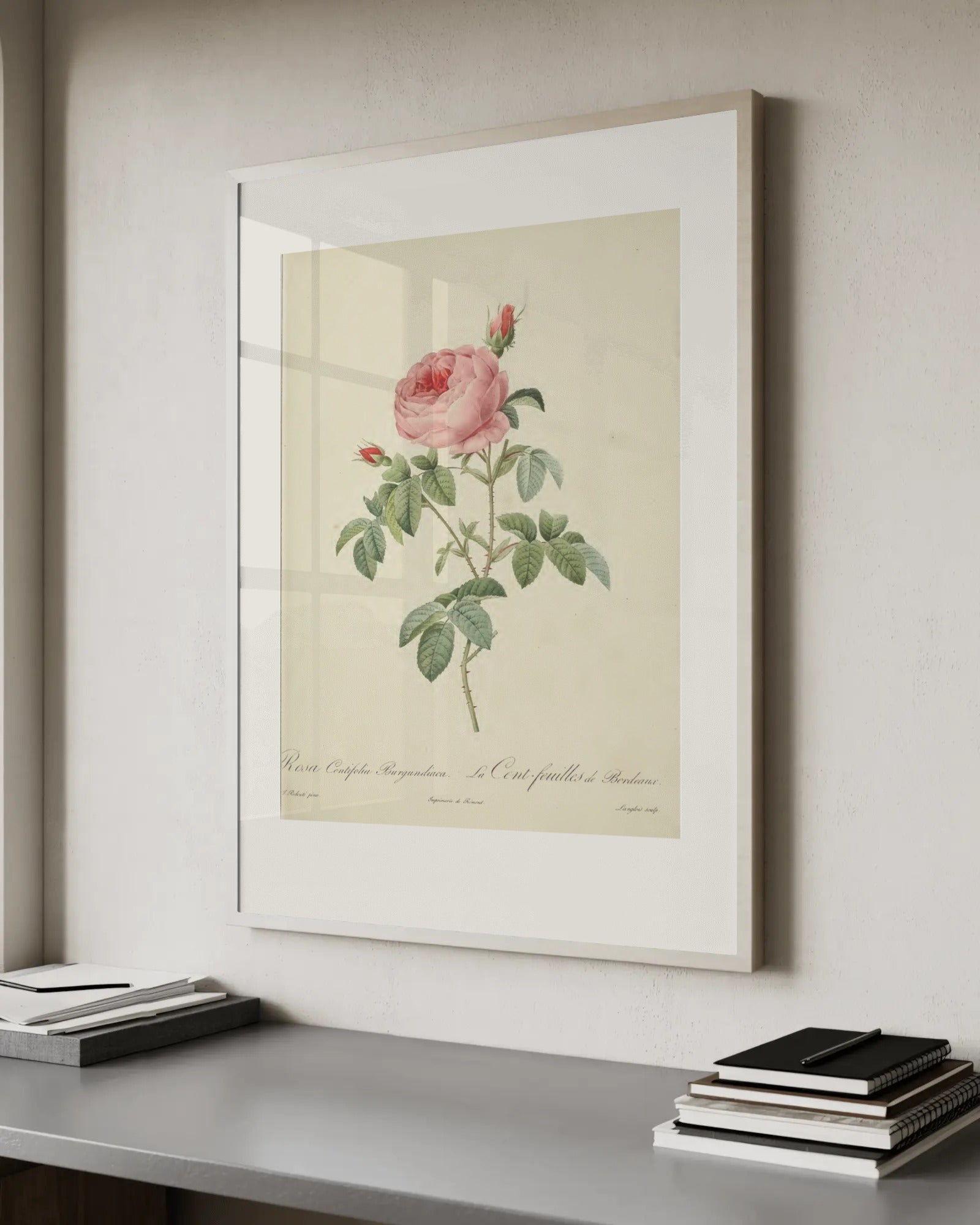 Rosa Gallica Officinalis (Apothecary's Rose) Art Print by Pierre-Joseph Redouté