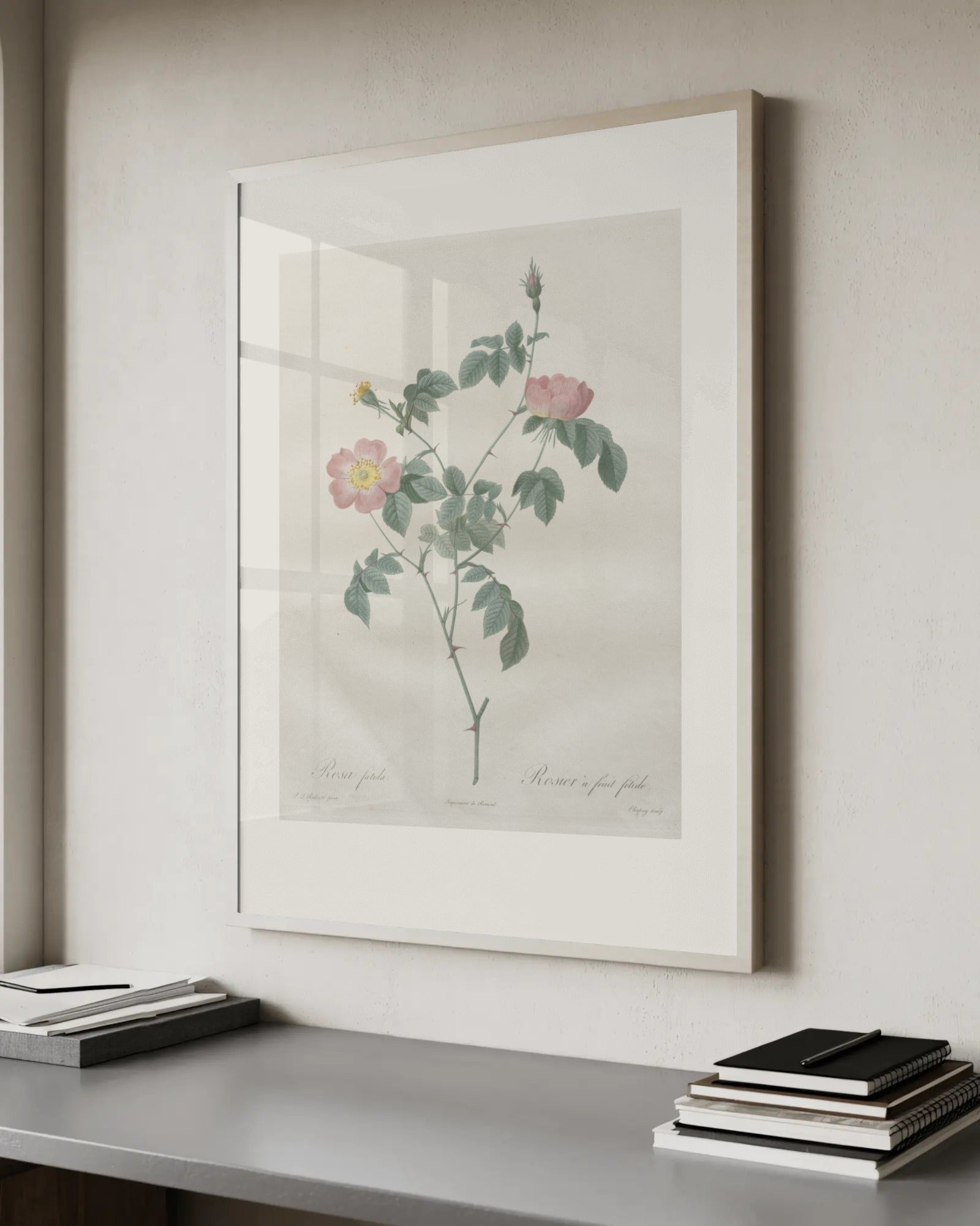 Rosa Indica Fragrans (Tea Rose) Art Print by Pierre-Joseph Redouté